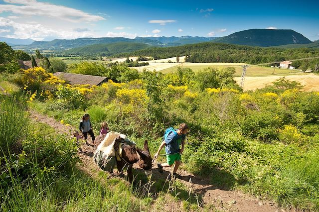 Voyage Le Vercors au pas de l'âne