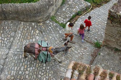 Voyage Le Vercors au pas de l'âne 3