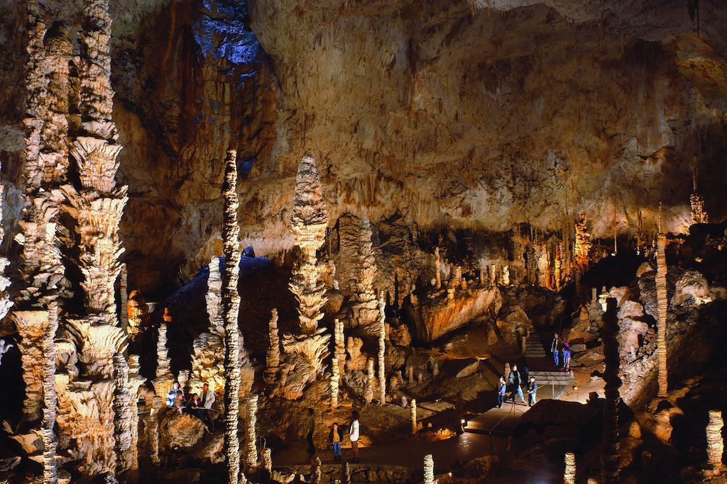 Voyage Les gorges de l'Ardèche avec un âne 3