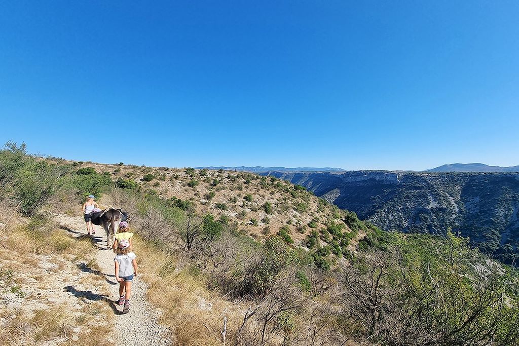 Voyage Le Larzac et le cirque de Navacelles avec un âne 3