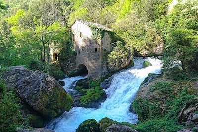 Voyage Le Larzac et le cirque de Navacelles avec un âne 3