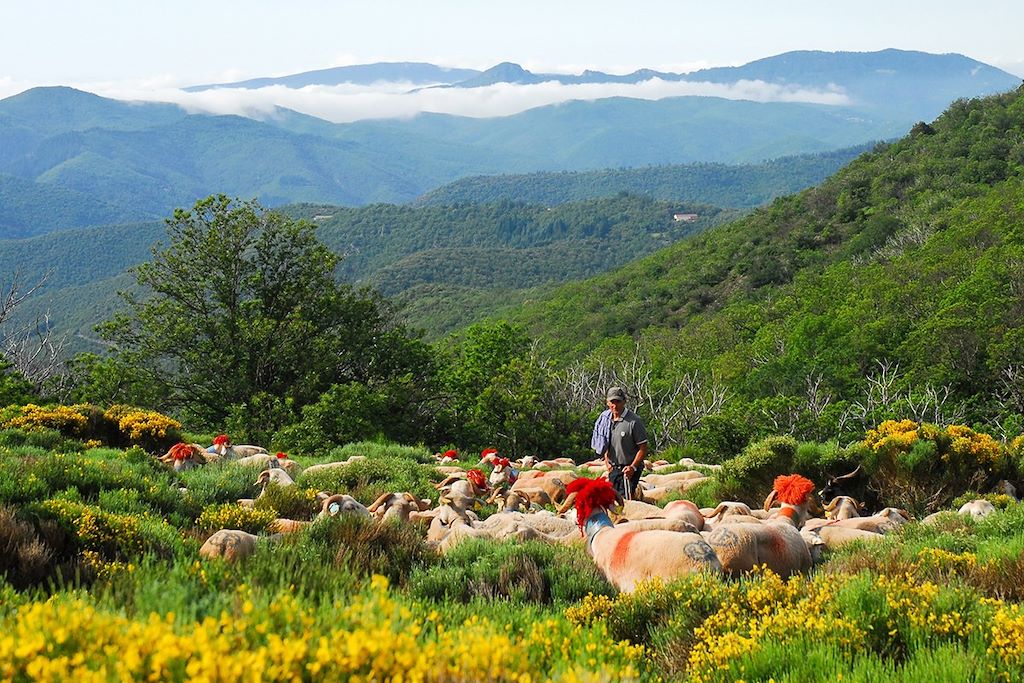 Voyage L'étoile des Cévennes 1