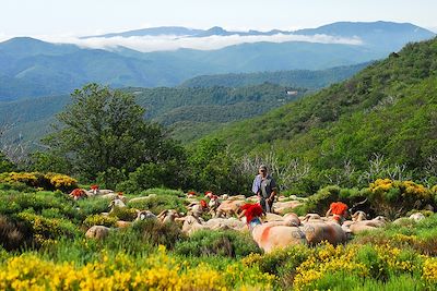 Voyage L'étoile des Cévennes 1
