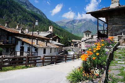 Voyage  Alpes du Sud