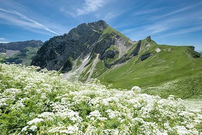 Trelod - Massif des Bauges - Savoie - France