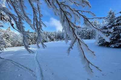 © Jean-Luc Letellier - Massif de la Chartreuse - France Massif de la Chartreuse - France