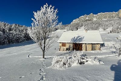 Massif de la Chartreuse - France