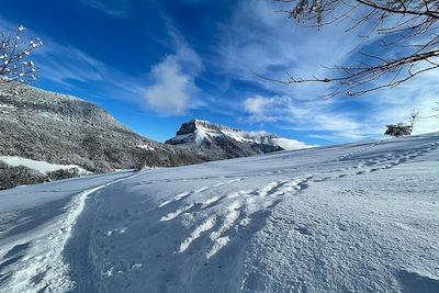 © Jean-Luc Letellier - Randonnée en raquettes dans le massif de la Chartreuse - France Randonnée en raquettes dans le massif de la Chartreuse - France
