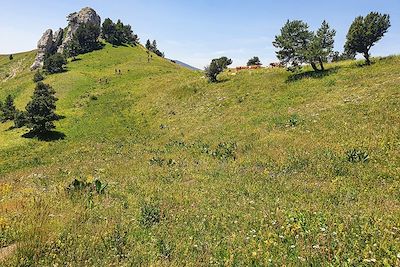 Les Archets (Tête du pin) - Hautes-Alpes - France