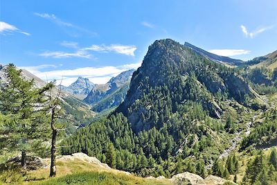 Vue sur le Mont Viso - Queyras - Hautes-Alpes - France