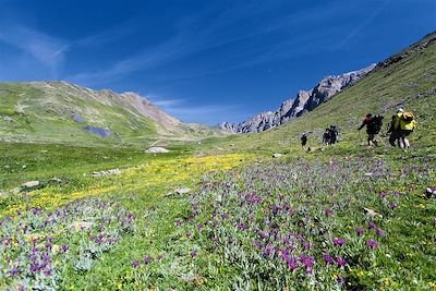 Vers le mont Thabor - Alpes du Sud - France