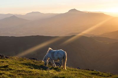 © AZAM Jean-Paul / hemis.fr - Coucher de soleil sur la Rhune - Itxassou - Pays-Basque - France Coucher de soleil sur la Rhune - Itxassou - Pays-Basque - France