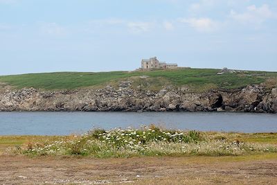 © Anne Lauprêtre - Île de Keller - Ouessant - Finistère - Bretagne Île de Keller - Ouessant - Finistère - Bretagne
