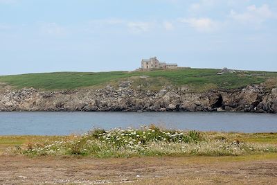 Île de Keller - Ouessant - Finistère - Bretagne