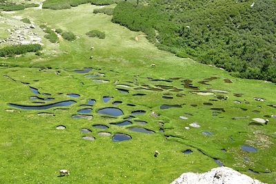 Voyage Les sentiers du GR20 Sud (version confort) 2