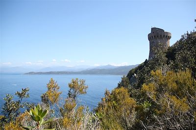 © Peter Gregor - Corse du Sud - France Corse du Sud - France