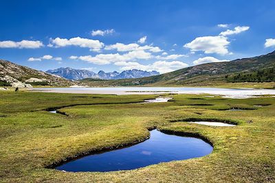 © Timo Horstschäfer - Pozzines - Corse - France Pozzines - Corse - France