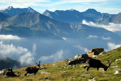 Voyage GTA, de Chamonix à Modane par le GR5 1