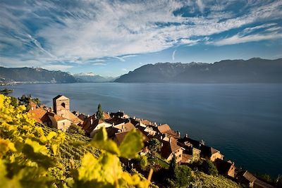 Le vignoble de St-Saphorin sur la rive du lac Leman - Suisse