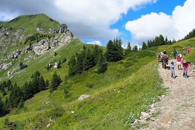 Col de Coux - Haute-Savoie - France