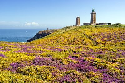 © Susanne Kremer/Sime / Photononstop - Cap Fréhel - Bretagne - France Cap Fréhel - Bretagne - France
