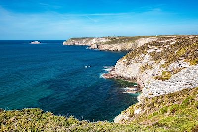 Falaises du Cap Fréhel - Côtes-d'Armor - Bretagne - France