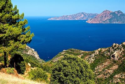 © Guillaume Leparmentier - Golfe de Piana - Corse - France Golfe de Piana - Corse - France