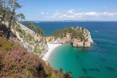 Cap de la Chèvre - Presqu'île de Crozon - France