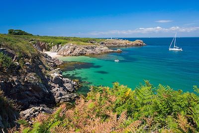 Carnac, Quiberon et l'île d'Houat en hôtel ***