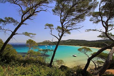 Voyage  Provence - Côte d'Azur