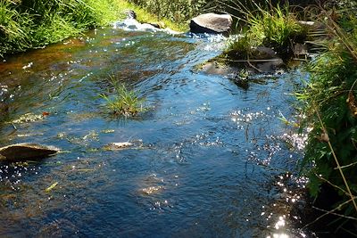 © Eric Najman - Ruisseau de Neuffonds - France Ruisseau de Neuffonds - France