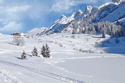© Didier Heroux - Aravis - France Aravis - France