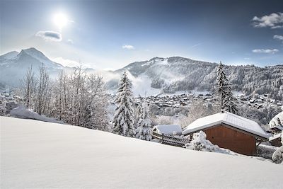 Voyage Alpes du Nord