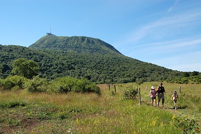 Rando âne près des volcans d'Auvergne