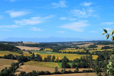 © Collection Tourisme Gers/J. Sandras - Passage gersois avec vue sur les pyrénées - Sud-Ouest - France Passage gersois avec vue sur les pyrénées - Sud-Ouest - France