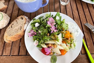 Voyage Les plantes comestibles et médicinales d'Auvergne 2