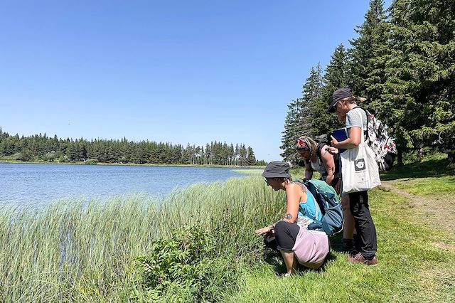 Voyage Les plantes comestibles et médicinales d'Auvergne