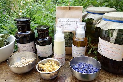 Voyage Les plantes comestibles et médicinales d'Auvergne 1