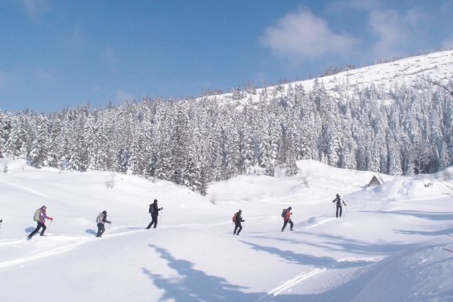 Randonnée ski de fond dans le massif du Vercors - France