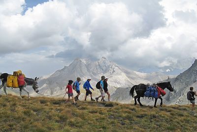 Parc naturel régional du Queyras - Hautes Alpes - France