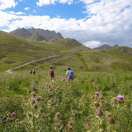 Randonnée France Alpes du Sud