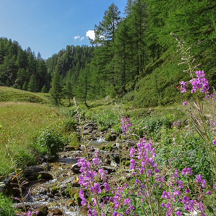 Randonnée France Alpes du Sud