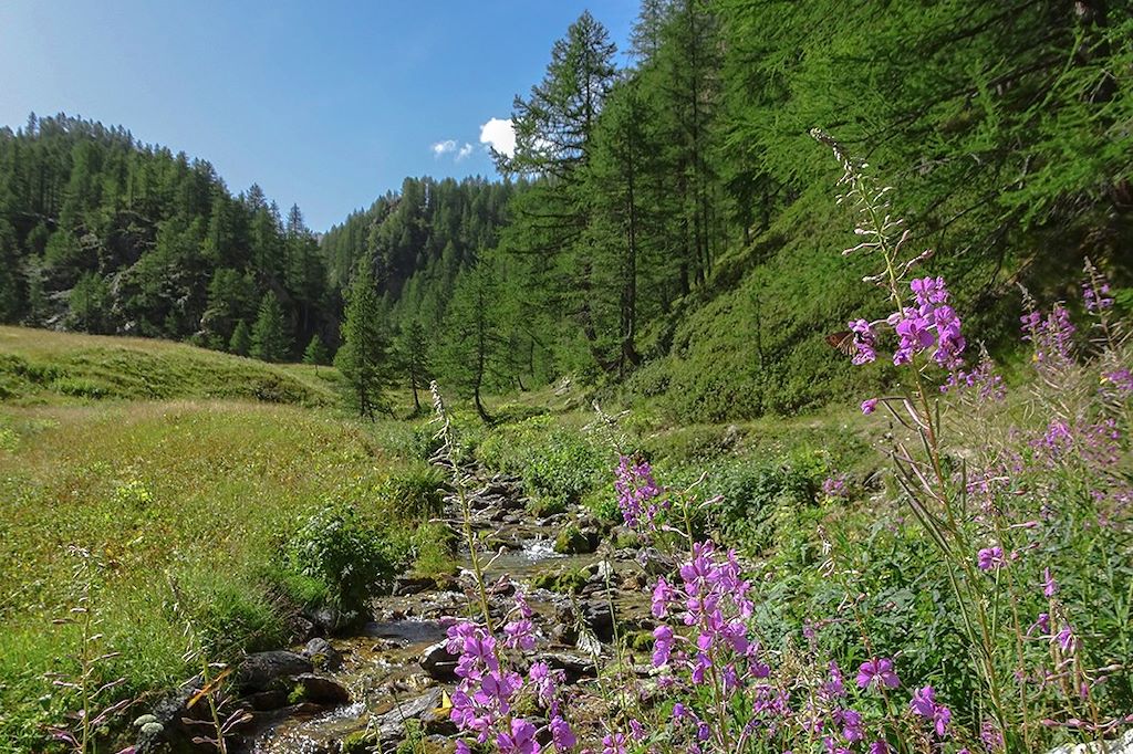Image Randonnée Val Maira - randonnée Piémont - voyage Alpes italiennes - Mont Viso
