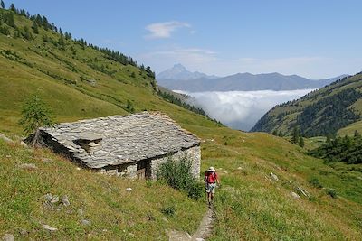 Randonnée dans alpage verdoyant - Val Maira - Piémont - Italie