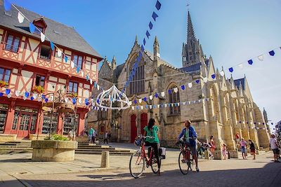 Basilique Notre-Dame du Roncier - Josselin - Bretagne - France