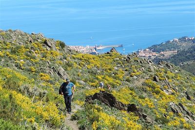 © Mabrouk Hamrit - Randonnée sur les hauteurs de Collioure - France Randonnée sur les hauteurs de Collioure - France