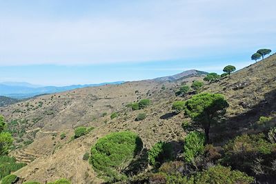 © Maël Moisan - Hauteurs de Llançà - Catalogne - Espagne Hauteurs de Llançà - Catalogne - Espagne