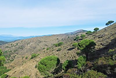 Hauteurs de Llançà - Catalogne - Espagne