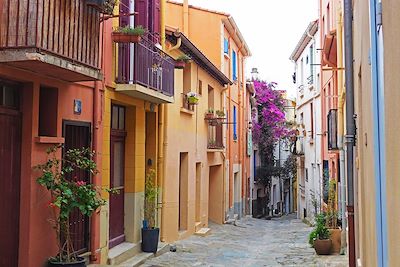 © Maël Moisan - Rue de Collioure - Pyrénées-Orientales - France Rue de Collioure - Pyrénées-Orientales - France