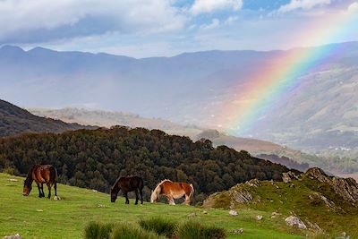 Voyage Le Pays basque : entre mer et montagnes à vélo 3